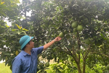 Phú Thọ: Xây dựng nông thôn mới gắn với bản sắc vùng