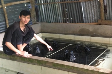 Cú "bẻ lái" ngoạn mục của cô gái học nhạc chuyển sang nuôi lươn không bùn