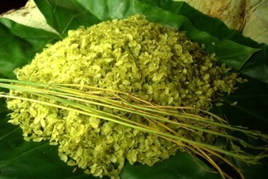 Những thức quà gợi nhớ mùa thu phương Bắc