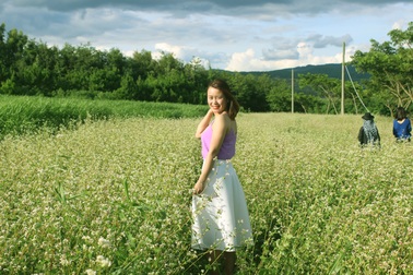 Bạn trẻ kéo nhau lên Lâm Đồng ngắm tam giác mạch khoe sắc