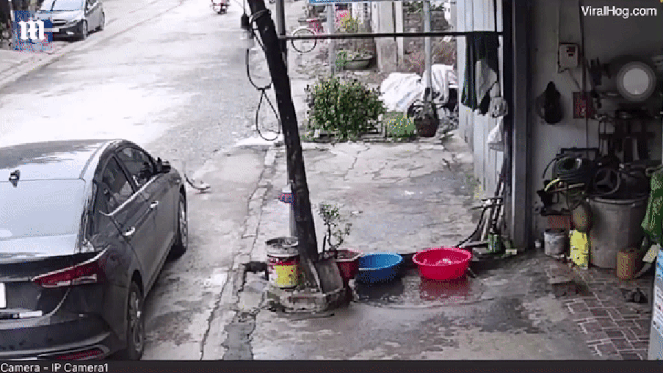 Báo Anh đăng video cá vượt ngục khỏi chậu nước để thoát thân ở Việt Nam - 2 Báo Anh đăng video cá vượt ngục khỏi chậu nước để thoát thân ở Việt Nam - 2