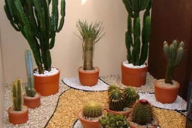 Xua tan cái nóng với không gian xanh “mướt mắt” cho ngôi nhà