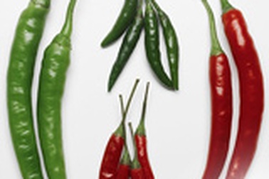 Ớt cay - Dược liệu quý