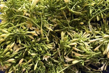 Loại hoa thường cắt bỏ đi sấy khô thành đặc sản 1,5 triệu đồng/kg