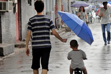 Người đàn ông Hà Nội 5 năm "nuôi con tu hú", mất trắng nhiều tỷ đồng