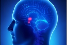 Các triệu chứng của khối u lành tính