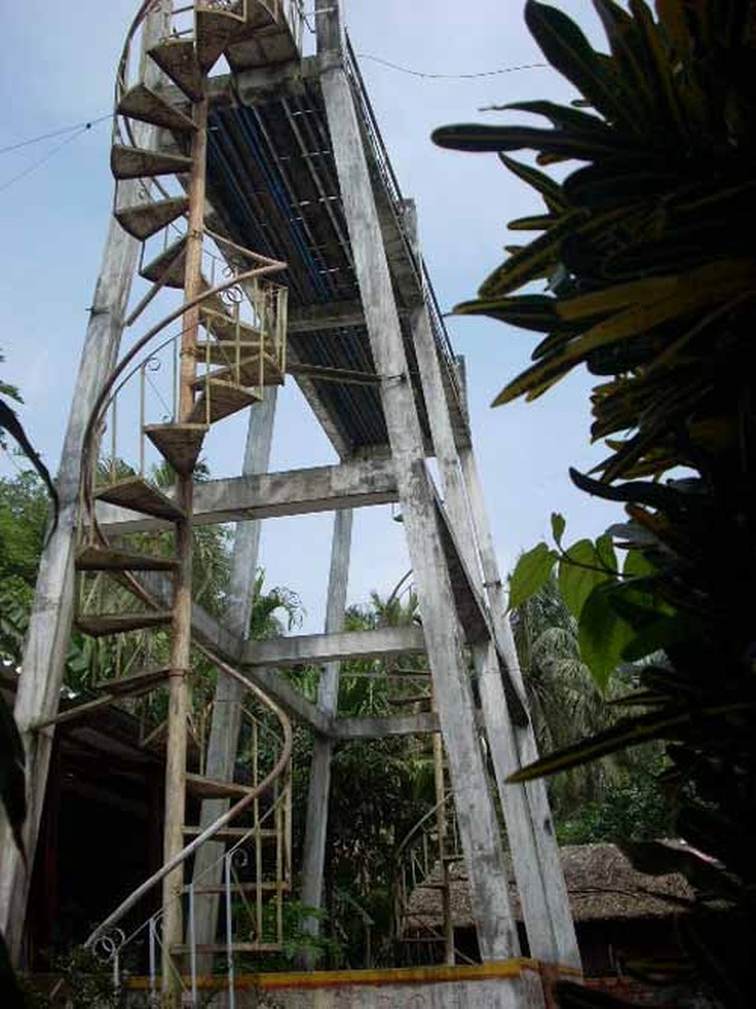 vườn cò Tân Long