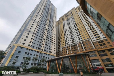 "Chung cư có thời hạn thì khác gì nhà đi thuê"
