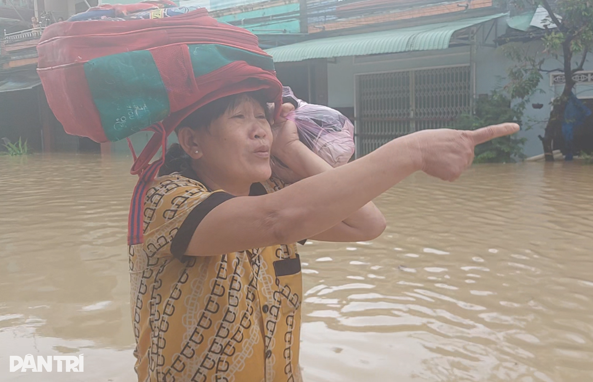 Người dân Gia Lai vật lộn giữa lũ lịch sử, đưa bò đến trụ sở xã trú - 5 Người dân Gia Lai vật lộn giữa lũ lịch sử, đưa bò đến trụ sở xã trú - 5
