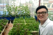 Chăm ba khu vườn sân thượng, 9X Hải Phòng có rau trái sạch dùng quanh năm