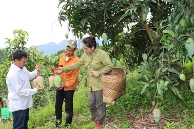 Đề xuất hợp nhất 2 chương trình nông thôn mới và giảm nghèo bền vững