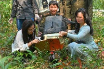 Thả 10 cá thể gà lôi trắng quý hiếm về rừng Cúc Phương