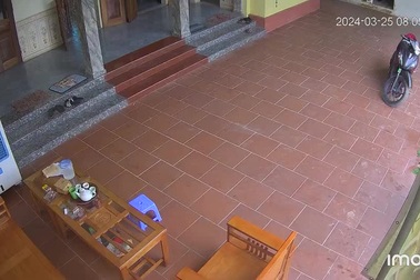 Động đất 4 độ ở huyện Mỹ Đức, Hà Nội