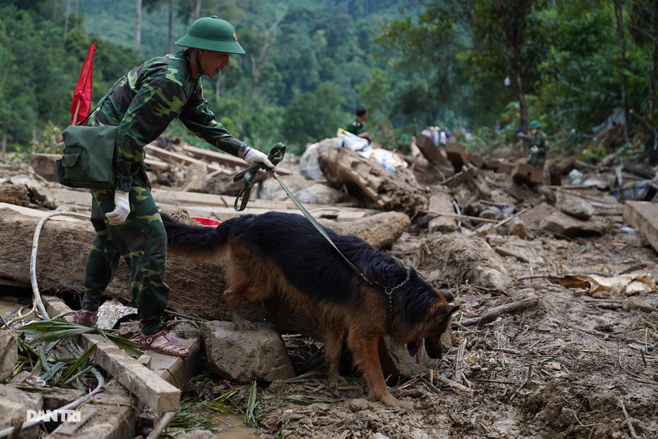 Tìm thấy thêm 2 thi thể ở Phước Sơn, tăng cường tìm kiếm ở Trà Leng - 5 Tìm thấy thêm 2 thi thể ở Phước Sơn, tăng cường tìm kiếm ở Trà Leng - 5