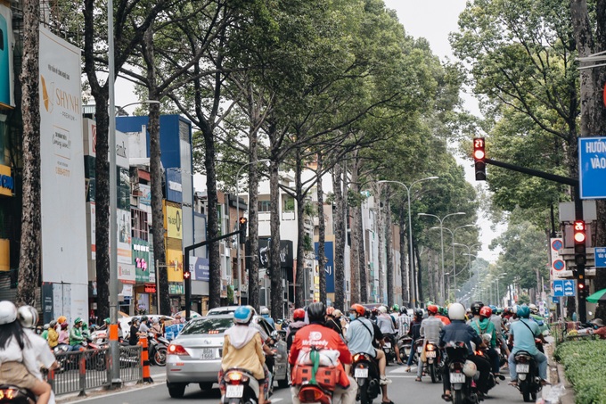 Sau vụ cây xanh bật gốc đè chết người: Vẫn còn nhiều cây đã già cỗi có rễ lộ thiên, nhánh vươn ra mặt đường ở Sài Gòn - Ảnh 16. Sau vụ cây xanh bật gốc đè chết người: Vẫn còn nhiều cây đã già cỗi có rễ lộ thiên, nhánh vươn ra mặt đường ở Sài Gòn - Ảnh 16.
