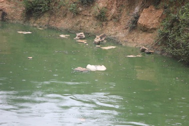 Trang trại lợn “tra tấn” người dân: Ngang nhiên xả thải, vứt xác lợn chết từ đầu nguồn nước