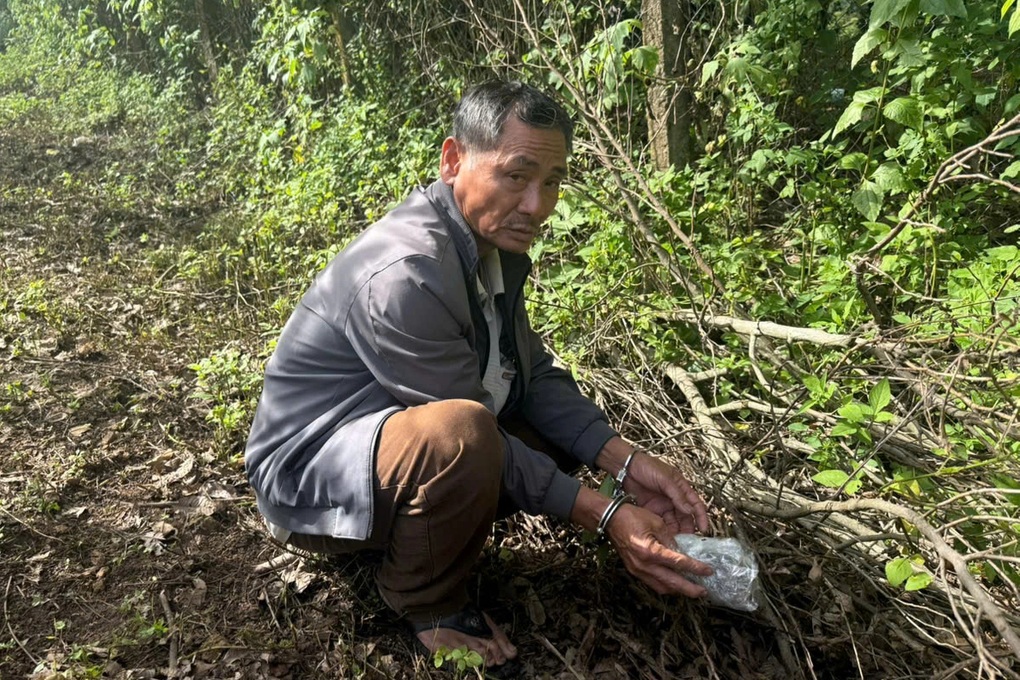 Chó nghiệp vụ phát hiện bí mật trong vườn nhà của cặp tình nhân - 2 Chó nghiệp vụ phát hiện bí mật trong vườn nhà của cặp tình nhân - 2