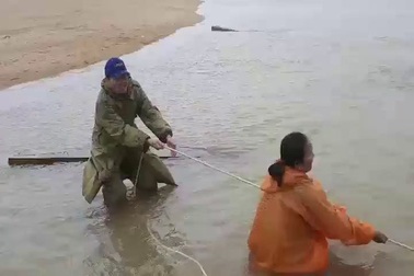 Trục vớt gỗ lậu dưới sông