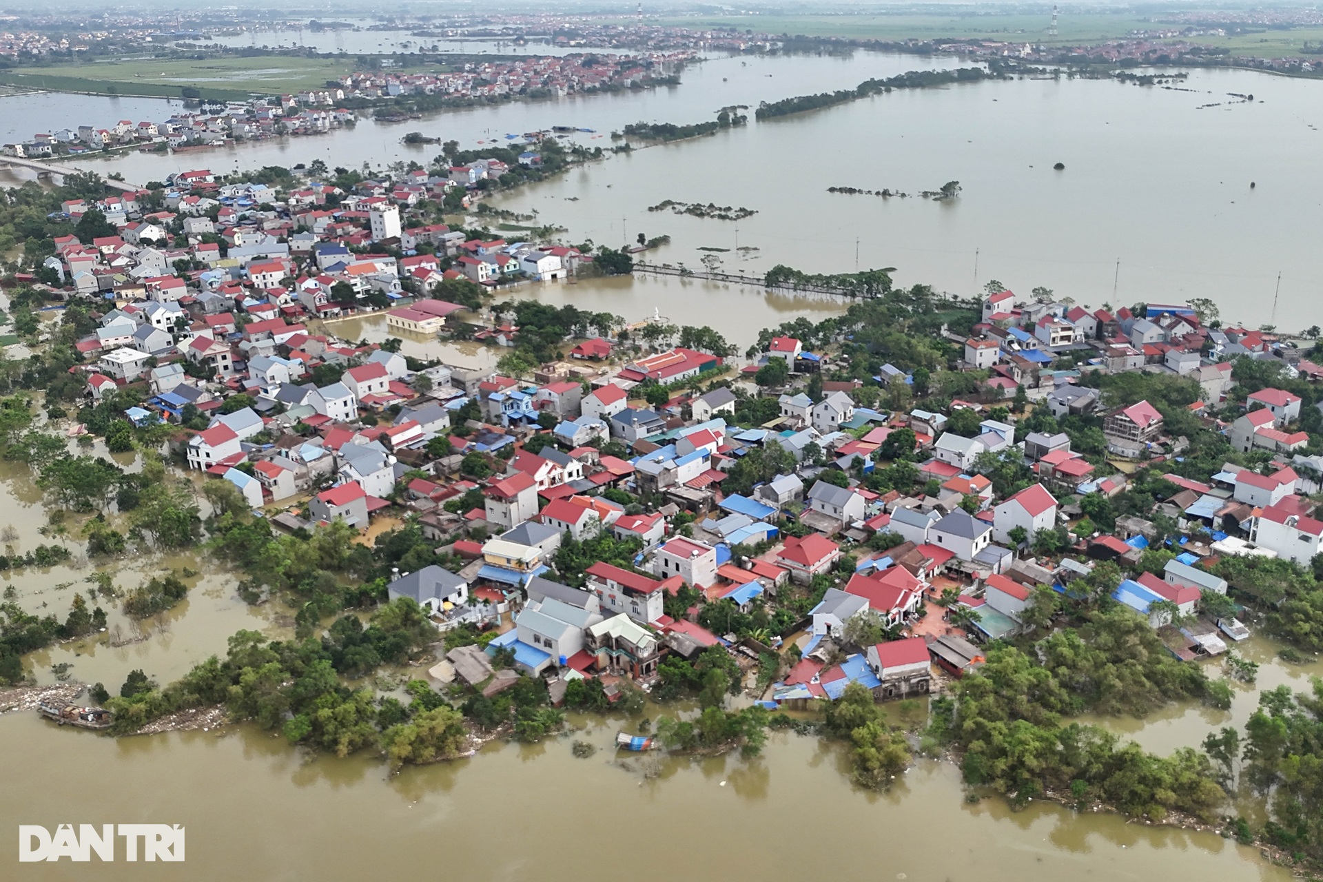 Hà Nội: Nước lũ dâng cao hơn 5m, người dân sơ tán đàn lợn lên tầng 3 - 1