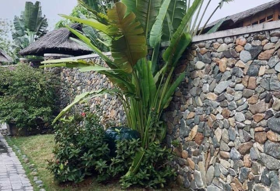 Về nhà lúc nửa đêm, vợ giật mình nghe tiếng động trong phòng giúp việc - 1 Về nhà lúc nửa đêm, vợ giật mình nghe tiếng động trong phòng giúp việc - 1