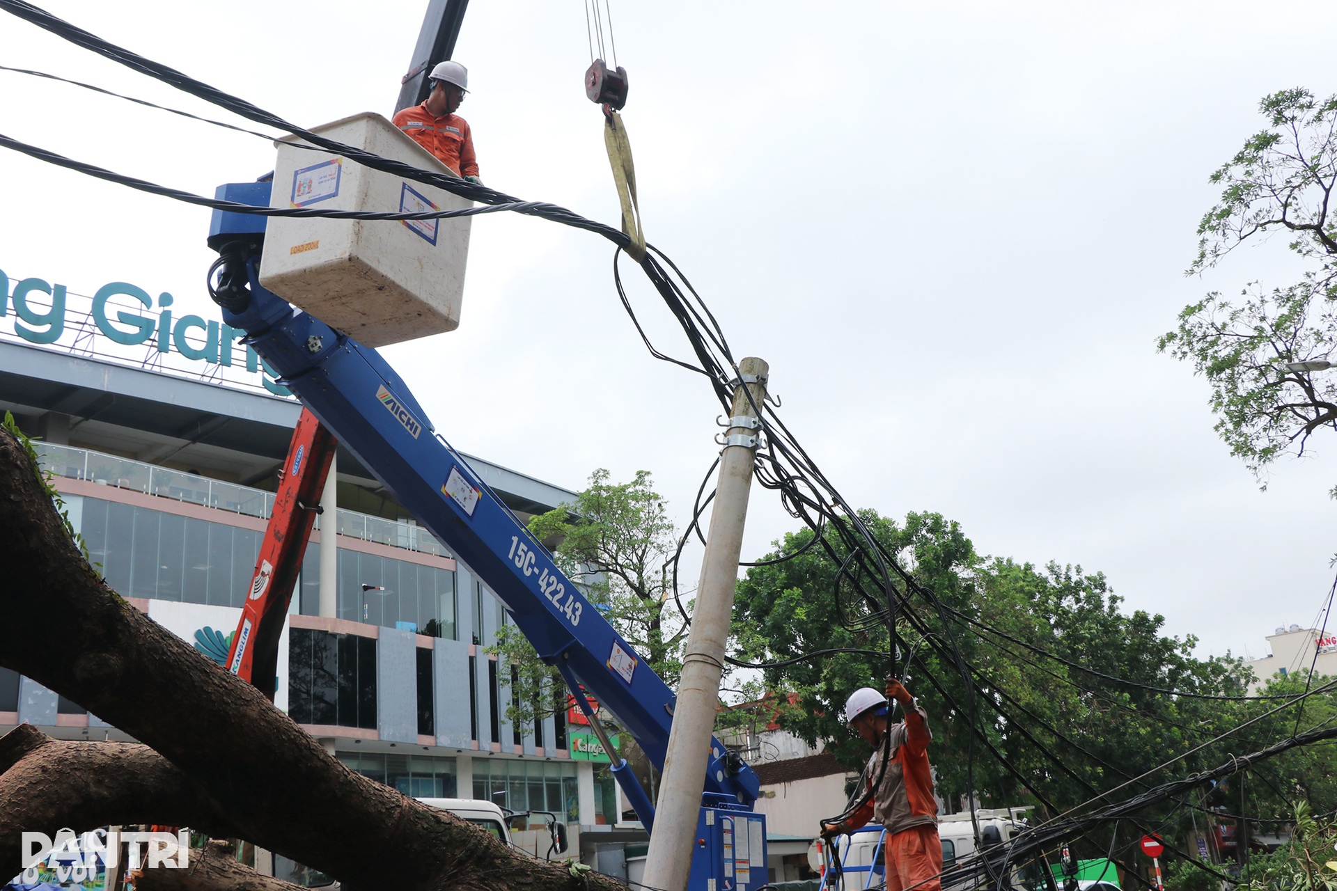 Những người thợ áo cam căng mình dựng cột, nối đường dây sau bão Kajiki - 12 Những người thợ áo cam căng mình dựng cột, nối đường dây sau bão Kajiki - 12