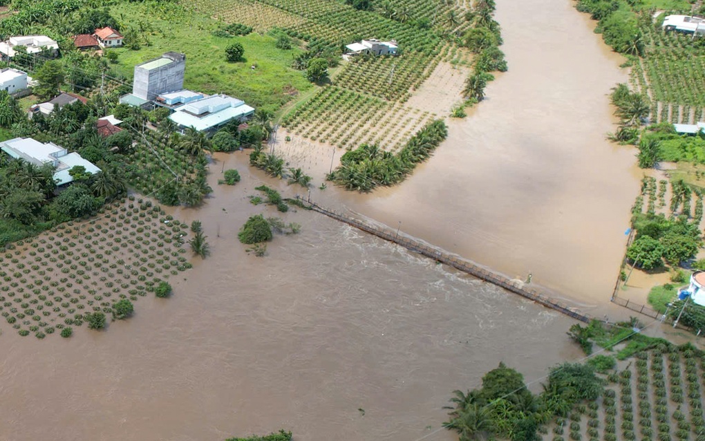 Hàng chục ha thanh long chìm trong biển nước ở Lâm Đồng - 2 Hàng chục ha thanh long chìm trong biển nước ở Lâm Đồng - 2