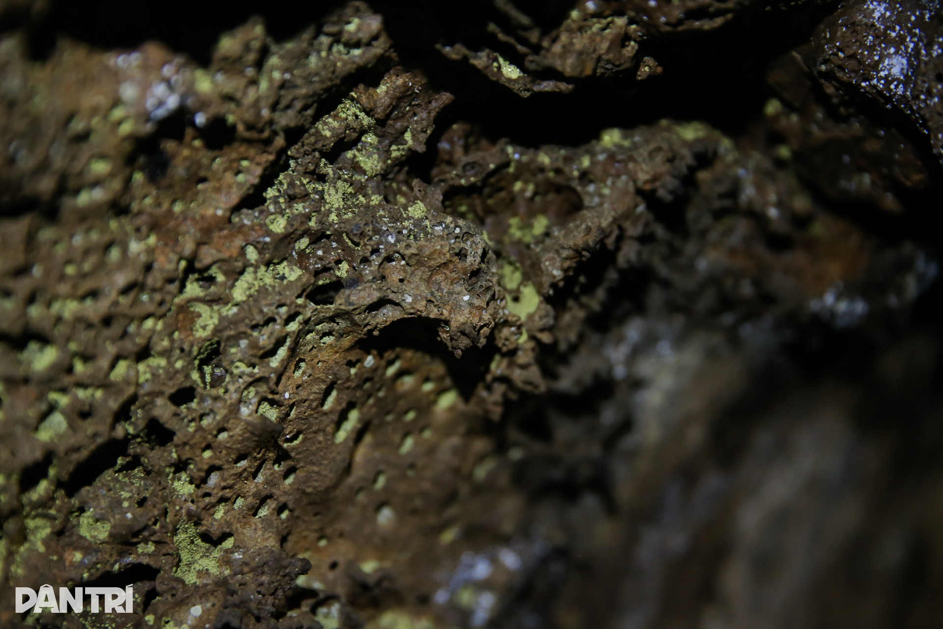 Cảnh đẹp kì vĩ bên trong hang núi lửa dài nhất Đông Nam Á nằm ở Việt Nam - 9