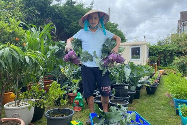 Những khu vườn sum suê rau, trái của các ông bố Việt ở trời Tây