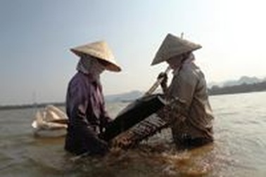 Mưu sinh trên sông Gianh trong những ngày đầu năm