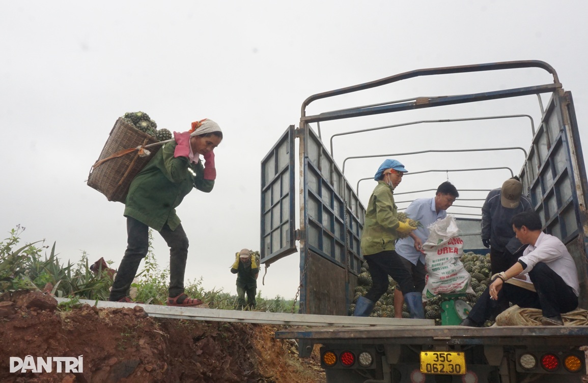 Những nữ cửu vạn làm việc bằng đầu, tính tiền theo giờ - 8 Những nữ cửu vạn làm việc bằng đầu, tính tiền theo giờ - 8