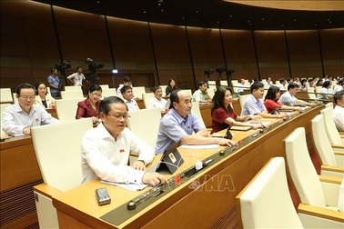 Quốc hội không bổ sung quy định hạn chế thời gian bán rượu bia