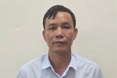 Giám đốc Công ty lâm nghiệp Hoành Bồ bị bắt