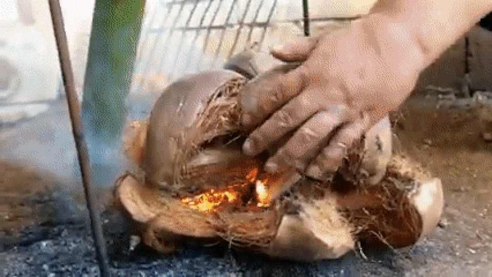 Chuột đồng béo núc để nguyên con không bỏ đầu đuôi, nướng trong ống tre - 5 Chuột đồng béo núc để nguyên con không bỏ đầu đuôi, nướng trong ống tre - 5