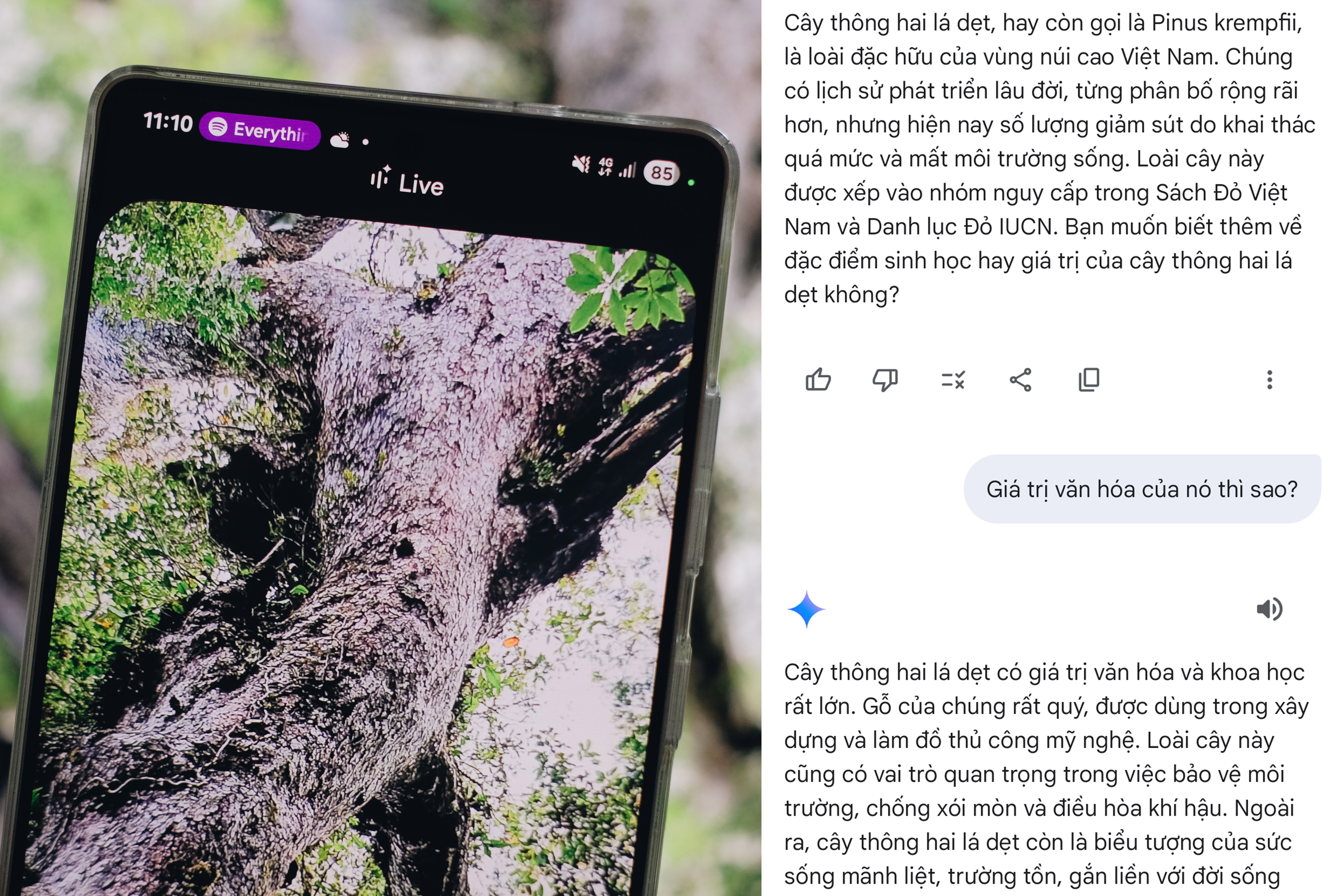 Khám phá thiên nhiên cùng Galaxy S25 Series và trợ lý Gemini Live - 4