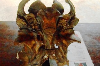 Xôn xao chuyện người dân vớt được “hộp sọ ngưu ma vương”