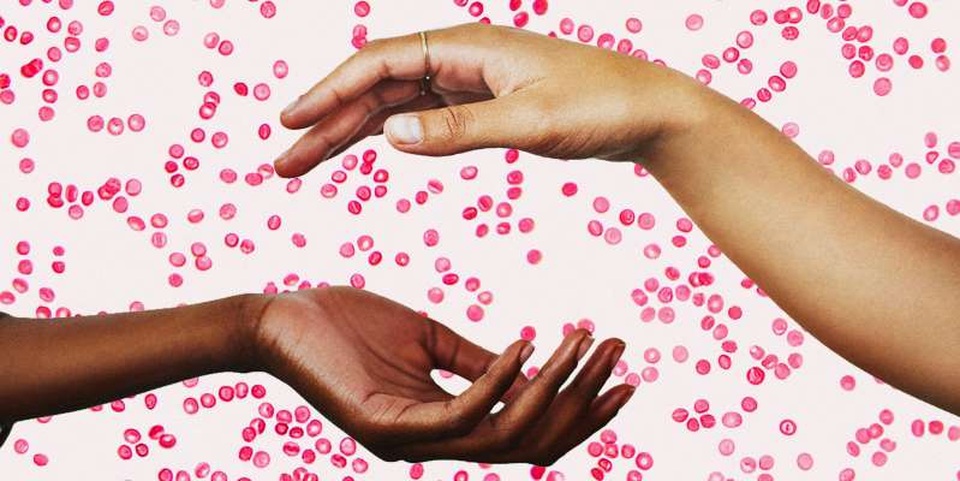 Chọn chế độ ăn theo nhóm máu như thế nào? - 1 Chọn chế độ ăn theo nhóm máu như thế nào? - 1