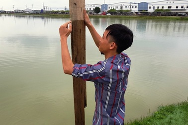 Nghệ An: Xin cải tạo hồ trồng sen, đào hết đất bán thành hồ nuôi cá!