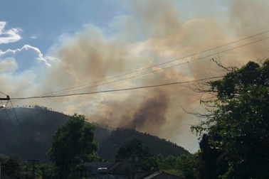 Đang cháy rừng tại Thanh Hóa
