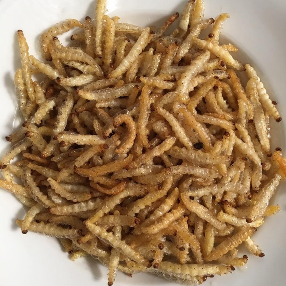 Loạt đặc sản con nhung nhúc, béo tròn, khách vừa ăn vừa sợ - 6