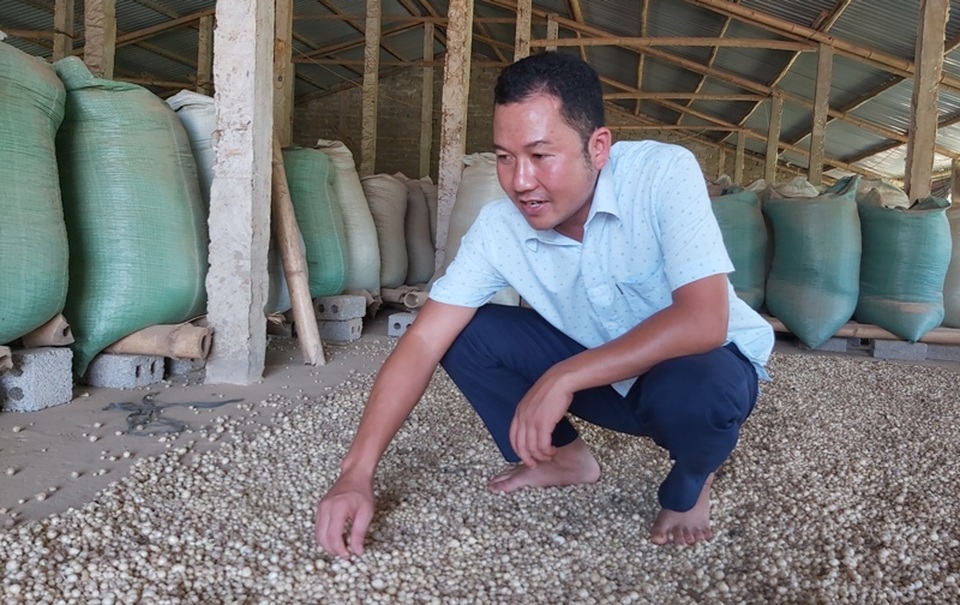 Thanh Hoá: Kiếm hàng trăm triệu đồng từ bưởi, mít, dừa... - 8 Thanh Hoá: Kiếm hàng trăm triệu đồng từ bưởi, mít, dừa... - 8
