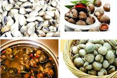 Nghêu, sò, ốc, hến: "Viagra" của quý ông!
