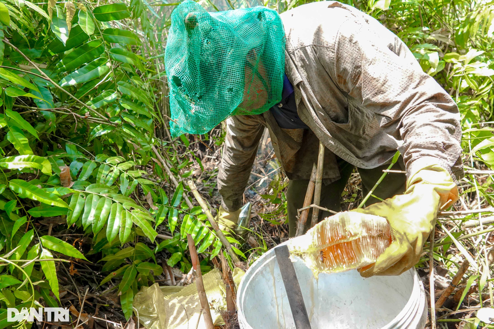 Những người nhện đu cây, băng rừng săn ong khủng - 6 Những người nhện đu cây, băng rừng săn ong khủng - 6