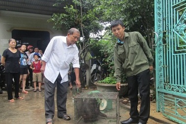 Thêm cá thể khỉ quý hiếm được người dân tự nguyện giao nộp