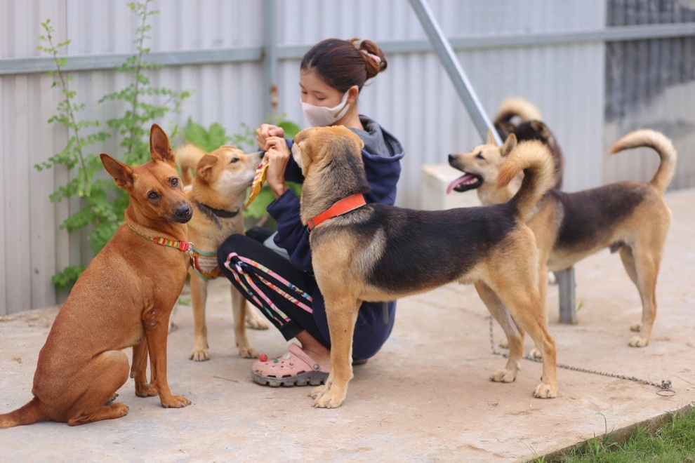 Mái ấm của những thú cưng bị bỏ rơi tại Hà Nội - 1 Mái ấm của những thú cưng bị bỏ rơi tại Hà Nội - 1