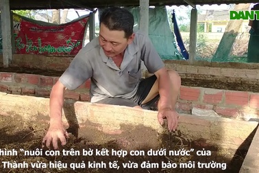 Mô hình nuôi con trên bờ kết hợp con dưới nước, lão nông thu lãi cao