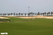 Bí thư Bình Định chỉ đạo tạm đình chỉ công tác Giám đốc Sở đi chơi golf