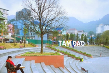 Vĩnh Phúc công khai 140 cơ sở vi phạm PCCC đang bị đình chỉ