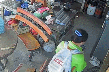 Hình ảnh động vật nổi bật: Cô gái suýt giẫm trúng rắn hổ mang trước cửa nhà