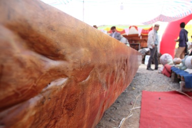 Chiêm ngưỡng sập gỗ Cẩm nghìn năm tuổi giá hơn 3 tỷ ở Hà Nội