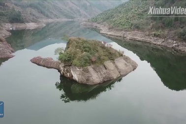 Đảo rùa may mắn mỗi năm chỉ nổi một lần vào mùa xuân